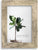 Lawrence Wood Picture Frame - 4X6, 5X7, 8X10 - Multiple Colors