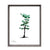 Tyrell Collection Wood Picture Frames - 4X6, 5X7, 8X10 Multiple Color Available