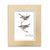 Taylor Collection Wood Picture Frames - 4X6, 5X7, 8X10 - Multiple Colors
