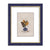 Bateman Navy Matted Wood Picture Frame - 8x10 , 11X14 and 16X20