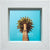 Ethan Wood Picture Frame - 4X4, 4X6, 5X7, 8X10 - Black, White, Grey, Blue, Blond, Natural