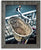 Bryce Wood Picture Frame -4X6, 5X7, 8X10
