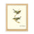 Dutton Wood Frames - 4X6, 5X7, 8X10 - White / Black / Natural